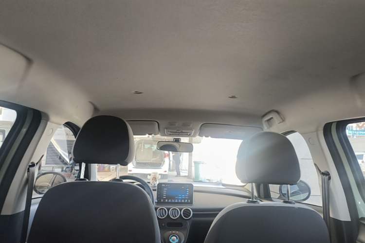 Used ORA Black Cat 2022 Updated Version 301 km Cute Pet Edition Lithium Iron Phosphate Headliner