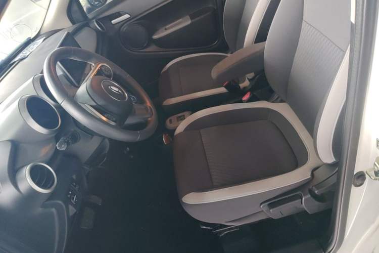 Used ORA Black Cat 2022 Updated Version 301 km Cute Pet Edition Lithium Iron Phosphate Left Front Seat