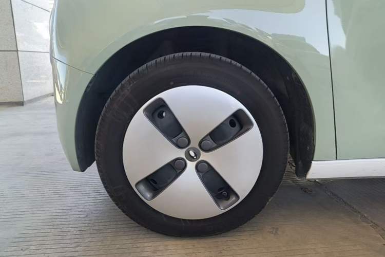 Used ORA Black Cat 2022 Updated Version 301 km Cute Pet Edition Lithium Iron Phosphate Left Front Wheel Hub