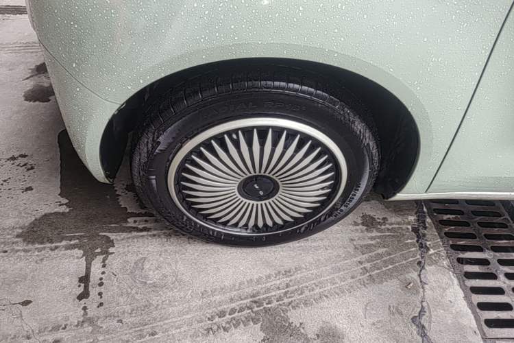 Used ORA Black Cat 2022 301km "Cute Pet" Version – Lithium Iron Phosphate Left Front Wheel Hub