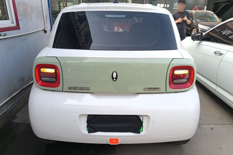 Used ORA Black Cat 2022 351 km Range Luxury Version Lithium-Ion Battery Rear