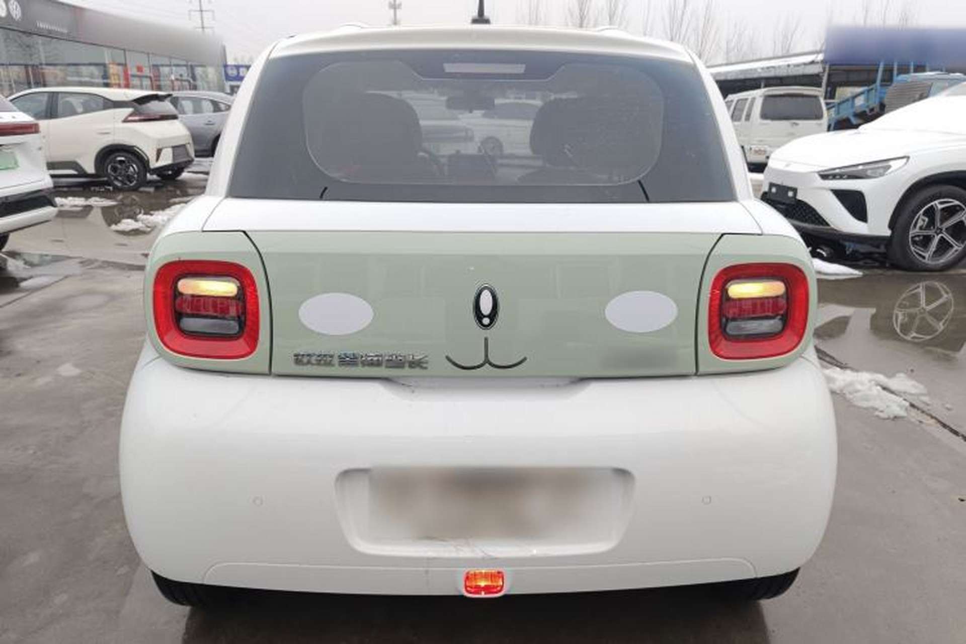 Used ORA Black Cat 2022 301km "Cute Pet" Version – Lithium Iron Phosphate Rear