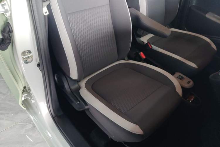 Used ORA Black Cat 2022 Updated Version 301 km Cute Pet Edition Lithium Iron Phosphate Right Front Seat