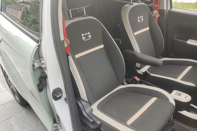 Used ORA Black Cat 2022 351 km Range Comfort Version Lithium Iron Phosphate Right Front Seat