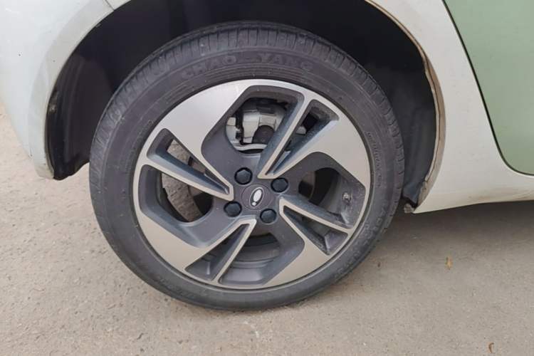 Used ORA Black Cat 2022 351 km Range Luxury Version Lithium-Ion Battery Right Rear Wheel Hub
