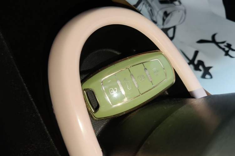 Used ORA Black Cat 2022 301km "Cute Pet" Version – Lithium Iron Phosphate Vehicle Key