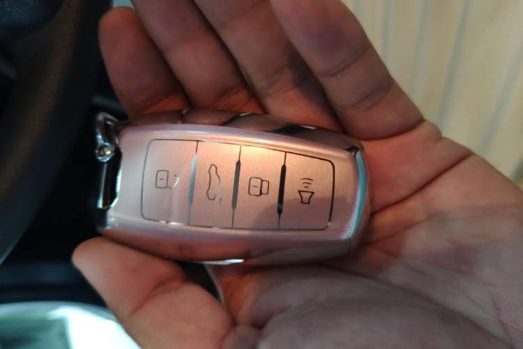 Used ORA Black Cat 2022 Updated Version 301 km Cute Pet Edition Lithium Iron Phosphate Vehicle Key