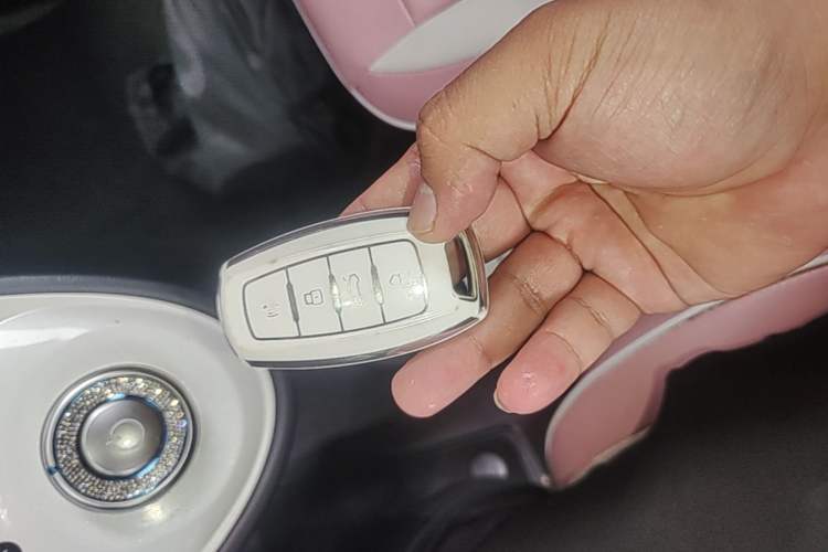Used ORA Black Cat 2022 301km "Cute Pet" Version – Lithium Iron Phosphate Vehicle Key