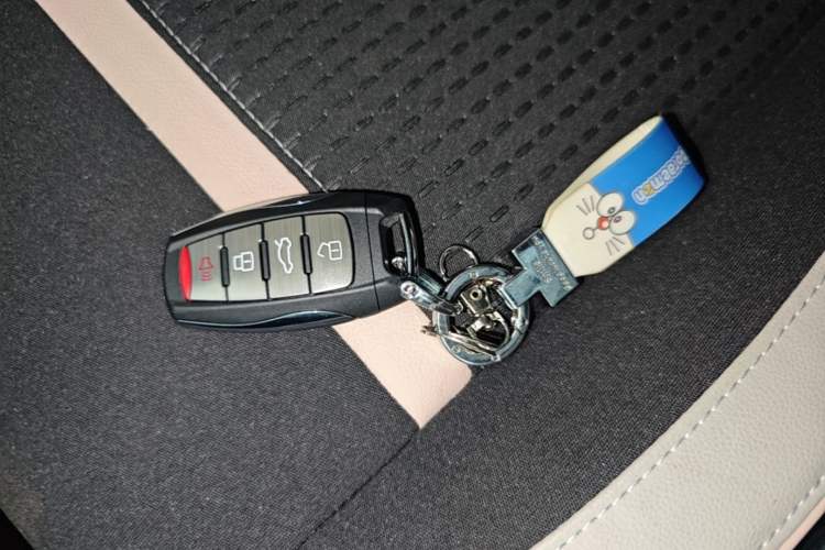 Used ORA Black Cat 2022 351 km Range Comfort Version Ternary Lithium Vehicle Key