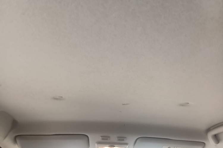 Used ORA Black Cat 2022 301km "Cute Pet" Version – Lithium Iron Phosphate Headliner
