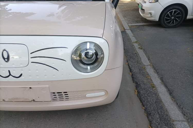 Used ORA Black Cat 2022 301km "Cute Pet" Version – Lithium Iron Phosphate Left Front Headlight