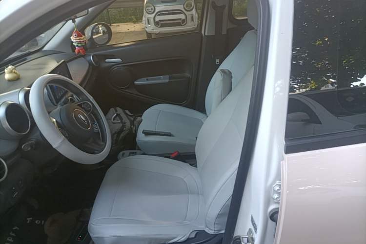 Used ORA Black Cat 2022 301km "Cute Pet" Version – Lithium Iron Phosphate Left Front Seat