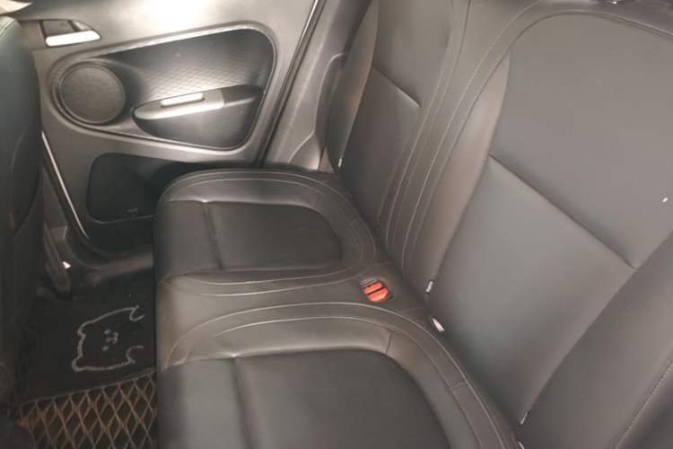 Used ORA Black Cat 2022 Updated Version 301 km Cute Pet Edition Lithium Iron Phosphate Left Rear Seat