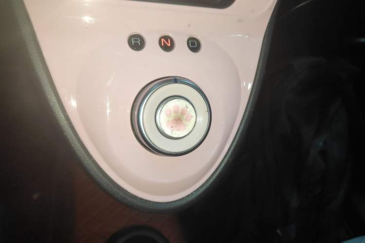 Used ORA Black Cat 2022 301km "Cute Pet" Version – Lithium Iron Phosphate Gear Lever