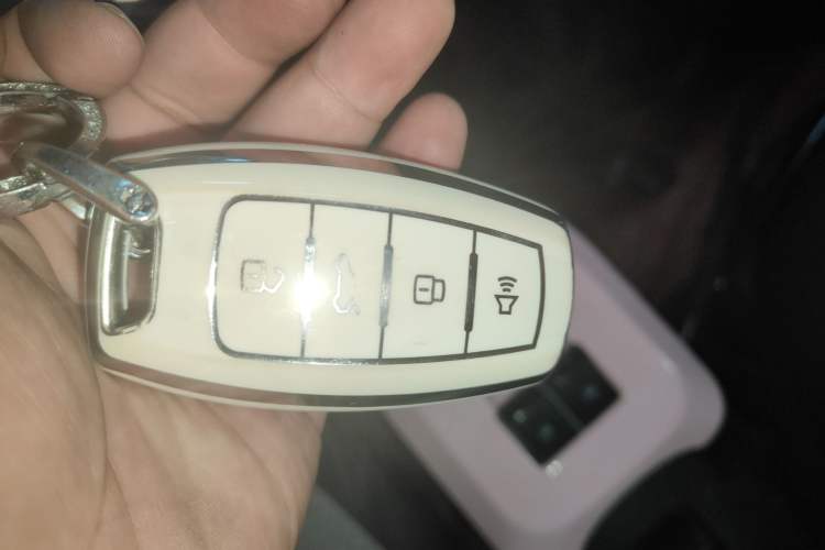 Used ORA Black Cat 2022 301km "Cute Pet" Version – Lithium Iron Phosphate Vehicle Key