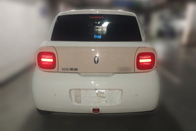 Used ORA Black Cat 2022 301km "Cute Pet" Version – Lithium Iron Phosphate Rear