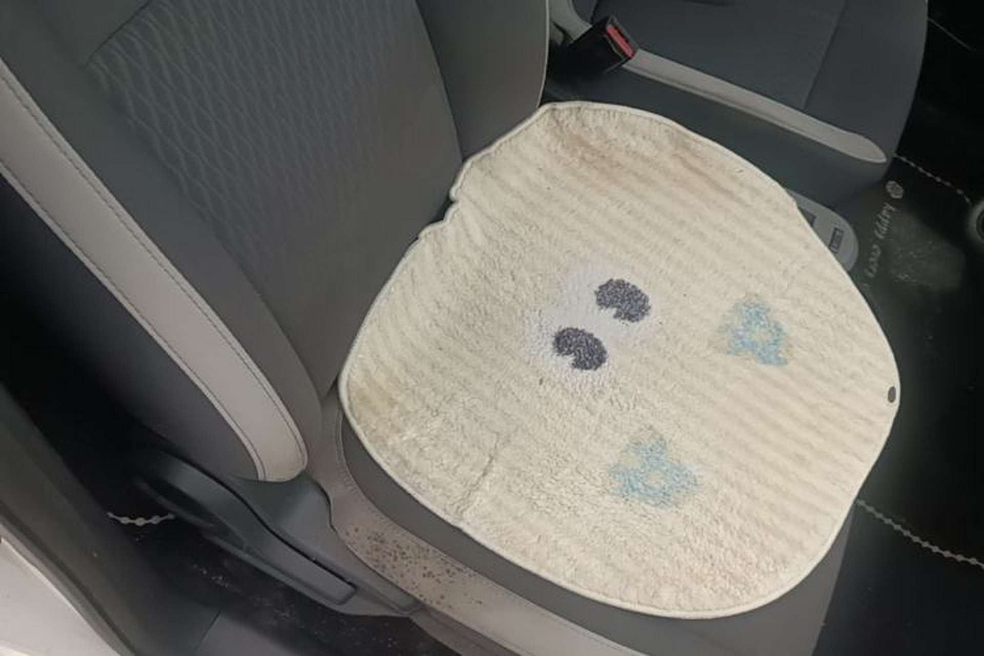 Used ORA Black Cat 2022 301km "Cute Pet" Version – Lithium Iron Phosphate Right Front Seat