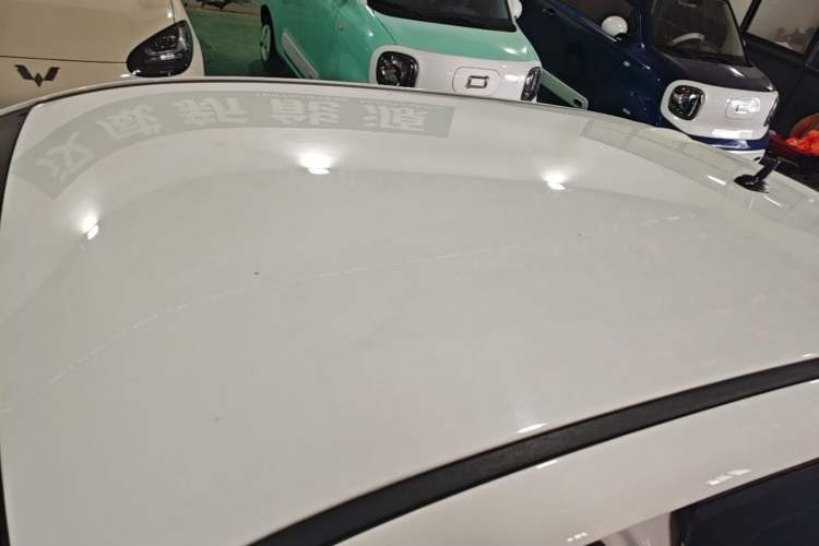 Used ORA Black Cat 2022 Updated Version 301 km Cute Pet Edition Lithium Iron Phosphate Roof