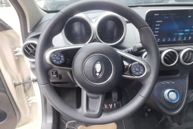 Used ORA Black Cat 2022 Updated Version 301 km Cute Pet Edition Lithium Iron Phosphate Steering Wheel