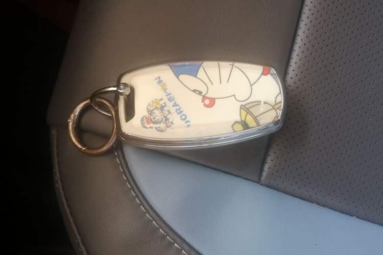 Used ORA Black Cat 2022 301km "Cute Pet" Version – Lithium Iron Phosphate Vehicle Key