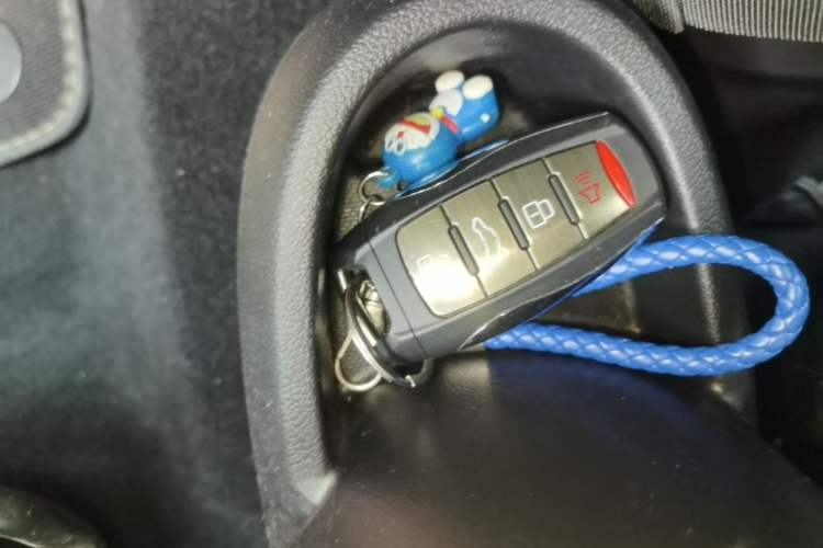 Used ORA Black Cat 2022 Updated Version 301 km Cute Pet Edition Lithium Iron Phosphate Vehicle Key