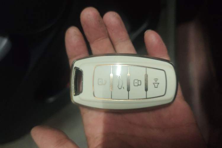 Used ORA Black Cat 2022 301km "Cute Pet" Version – Lithium Iron Phosphate Vehicle Key
