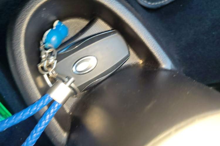 Used ORA Black Cat 2022 301km "Cute Pet" Version – Lithium Iron Phosphate Vehicle Key