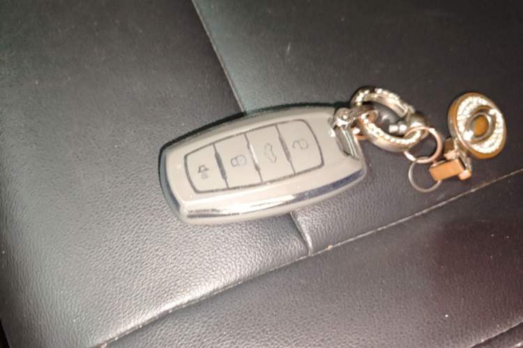Used ORA Black Cat 2022 Updated Version 301 km Cute Pet Edition Lithium Iron Phosphate Vehicle Key