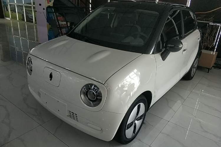 Used ORA Black Cat 2022 301km Base Version Ternary Lithium Guazi used car, China used car export, Used car for sale, Used cars, Cheapest cars for sale