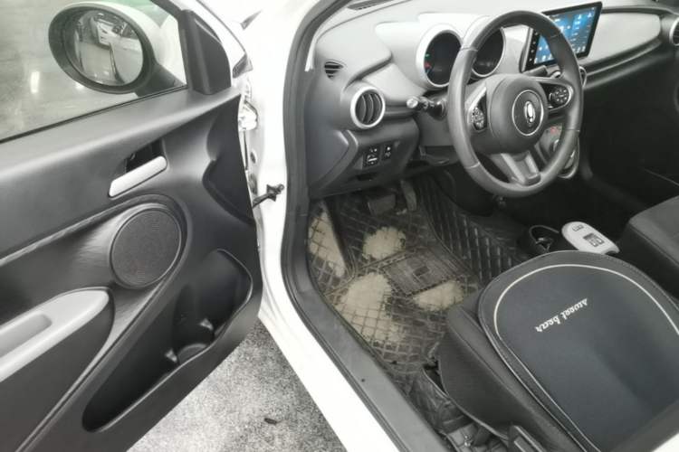 Used ORA Black Cat 2022 Updated Version 301 km Cute Pet Edition Lithium Iron Phosphate Driver Seat