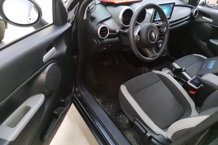 Used ORA Black Cat 2022 Updated Version 301 km Cute Pet Edition Lithium Iron Phosphate Driver Seat