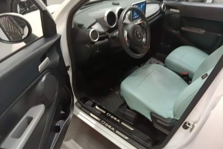 Used ORA Black Cat 2022 301km "Cute Pet" Version – Lithium Iron Phosphate Driver Seat