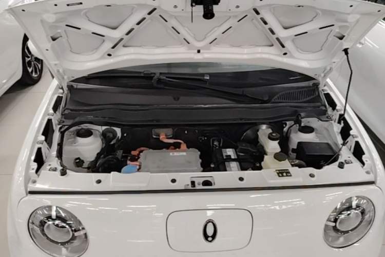 Used ORA Black Cat 2022 Updated Version 301 km Cute Pet Edition Lithium Iron Phosphate Engine Bay