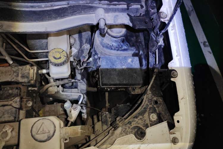 Used ORA Black Cat 2022 Updated Version 301 km Cute Pet Edition Lithium Iron Phosphate Engine Bay Left