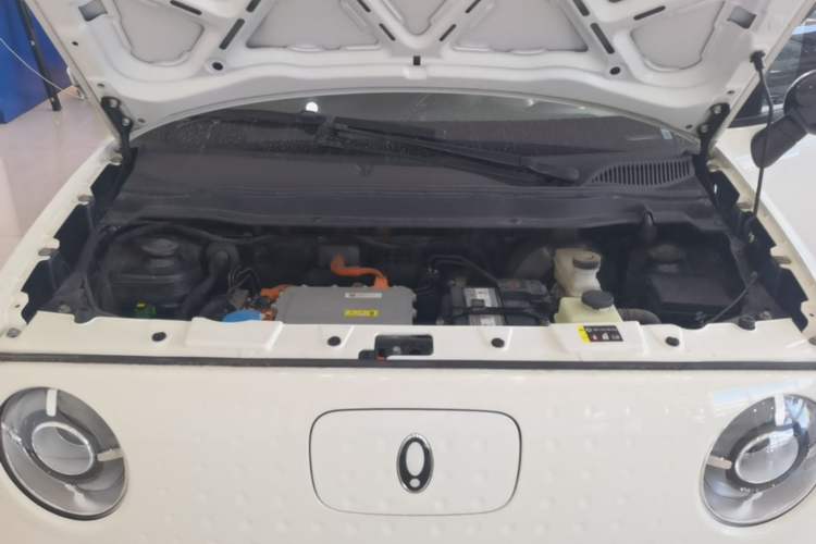 Used ORA Black Cat 2022 Updated Version 301 km Cute Pet Edition Lithium Iron Phosphate Engine Bay