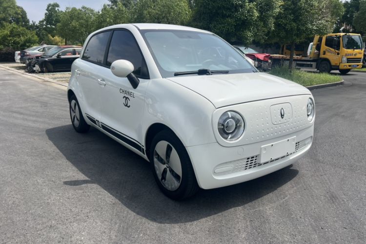 Used ORA Black Cat 2022 Updated Version 301 km Cute Pet Edition Lithium Iron Phosphate Exterior 5