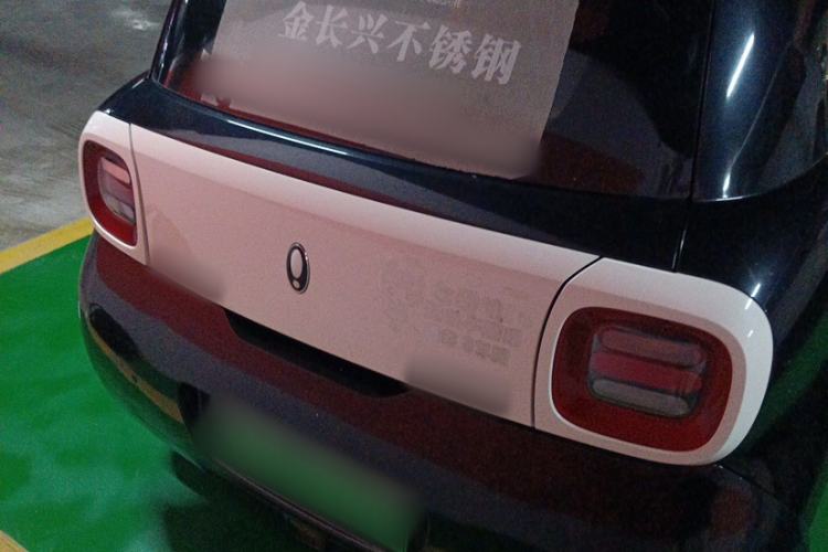 Used ORA Black Cat 2022 Updated Version 301 km Cute Pet Edition Lithium Iron Phosphate Exterior 6