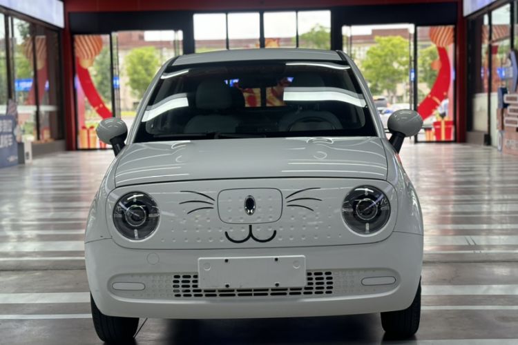 Used ORA Black Cat 2022 301km "Cute Pet" Version – Lithium Iron Phosphate Exterior 6