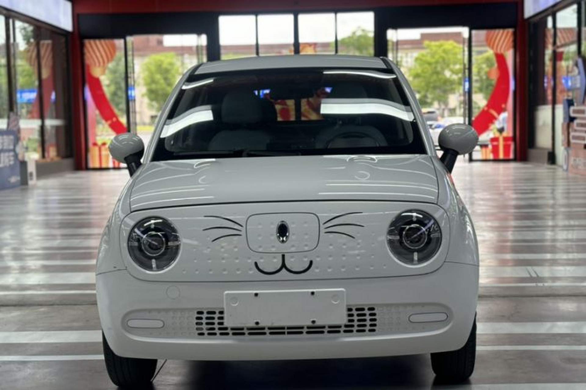 Used ORA Black Cat 2022 301km "Cute Pet" Version – Lithium Iron Phosphate Exterior 6