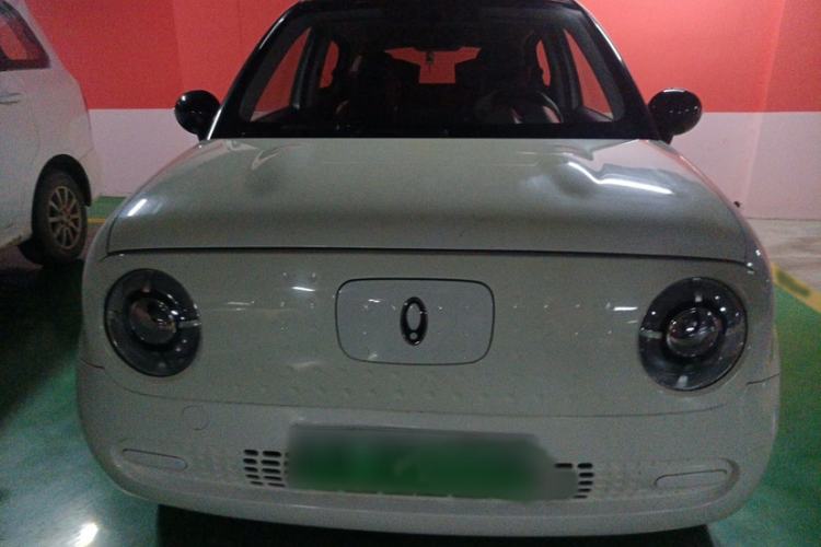Used ORA Black Cat 2022 Updated Version 301 km Cute Pet Edition Lithium Iron Phosphate Exterior 7