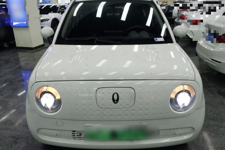 Used ORA Black Cat 2022 Updated Version 301 km Cute Pet Edition Lithium Iron Phosphate Front