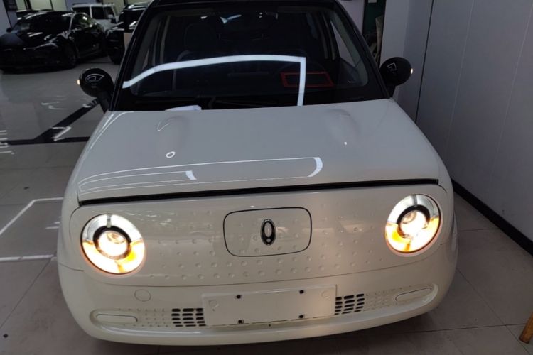 Used ORA Black Cat 2022 Updated Version 301 km Cute Pet Edition Lithium Iron Phosphate Front