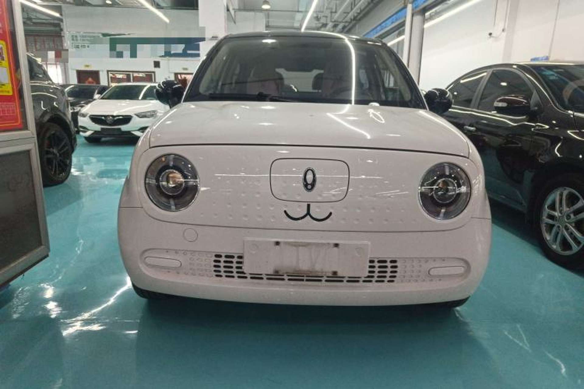 Used ORA Black Cat 2022 301km "Cute Pet" Version – Lithium Iron Phosphate Front