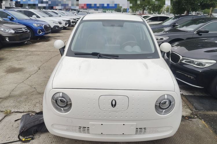 Used ORA Black Cat 2022 Updated Version 301 km Cute Pet Edition Lithium Iron Phosphate Front