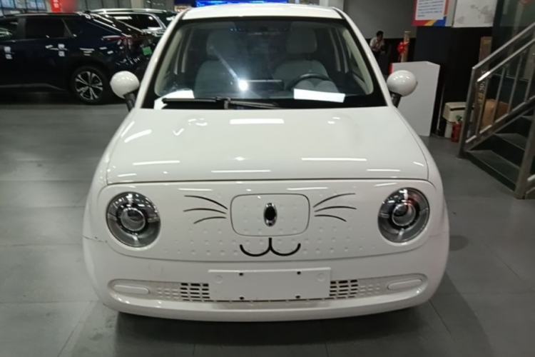Used ORA Black Cat 2022 301km "Cute Pet" Version – Lithium Iron Phosphate Front