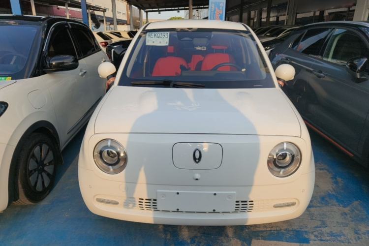 Used ORA Black Cat 2022 405 km Long-Range Version Ternary Lithium Front