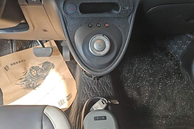 Used ORA Black Cat 2022 301km "Cute Pet" Version – Lithium Iron Phosphate Gear Lever