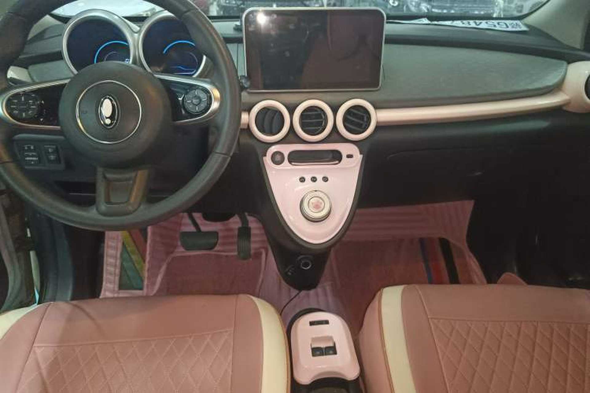 Used ORA Black Cat 2022 301km "Cute Pet" Version – Lithium Iron Phosphate Gear Lever