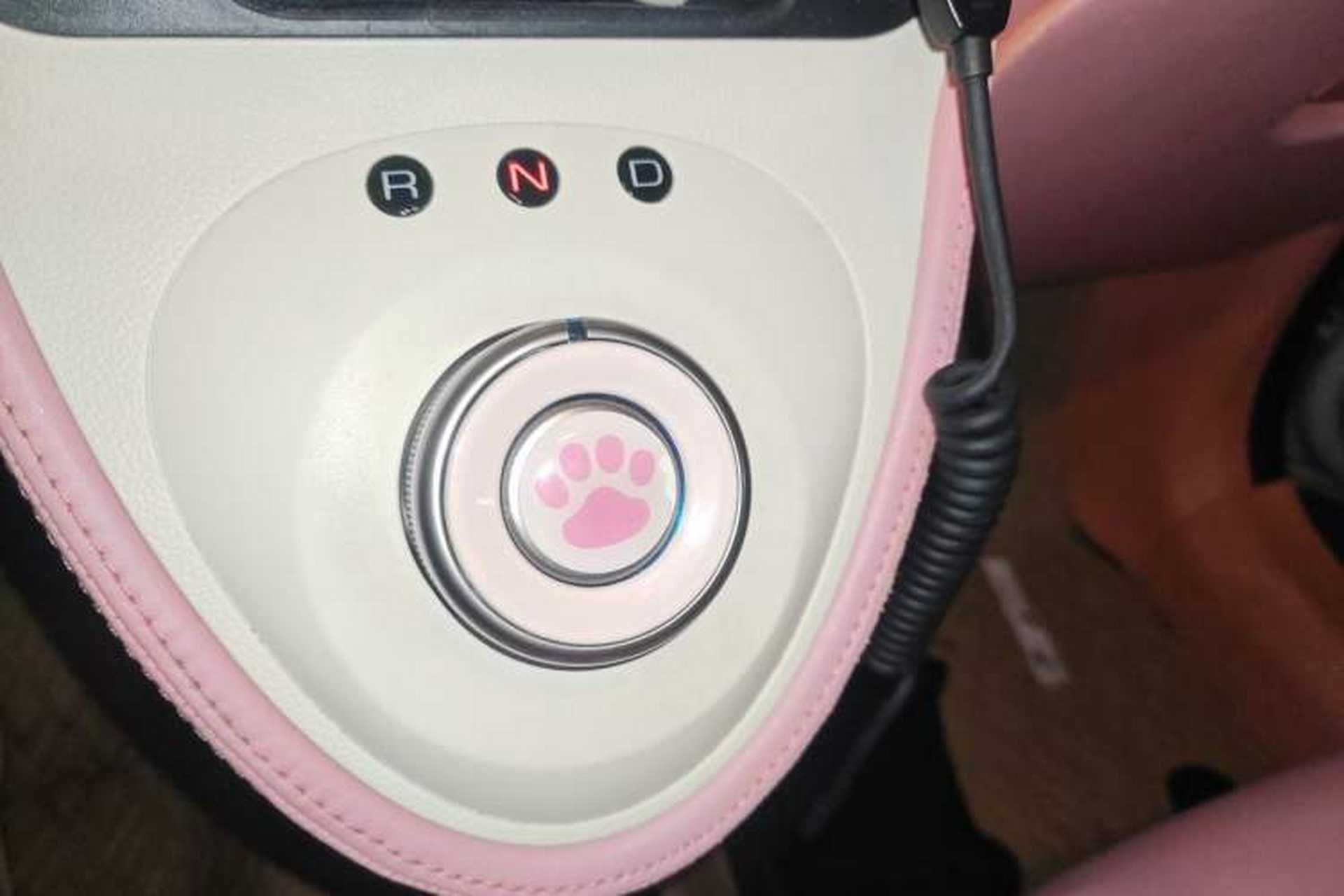 Used ORA Black Cat 2022 301km "Cute Pet" Version – Lithium Iron Phosphate Gear Lever