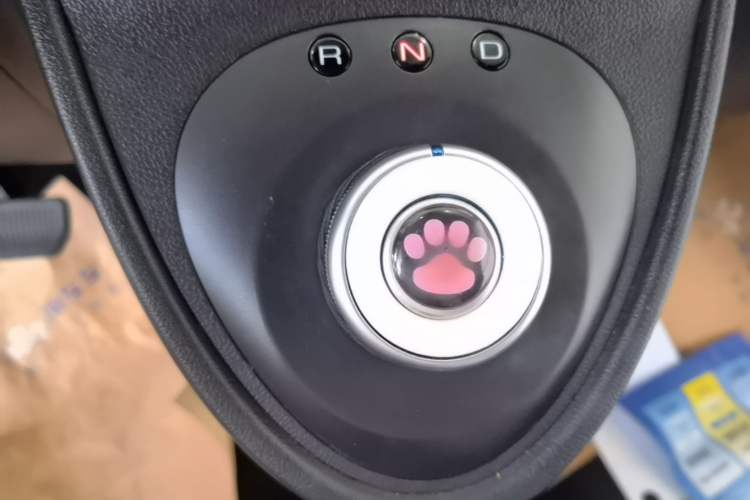 Used ORA Black Cat 2022 Updated Version 301 km Cute Pet Edition Lithium Iron Phosphate Gear Lever